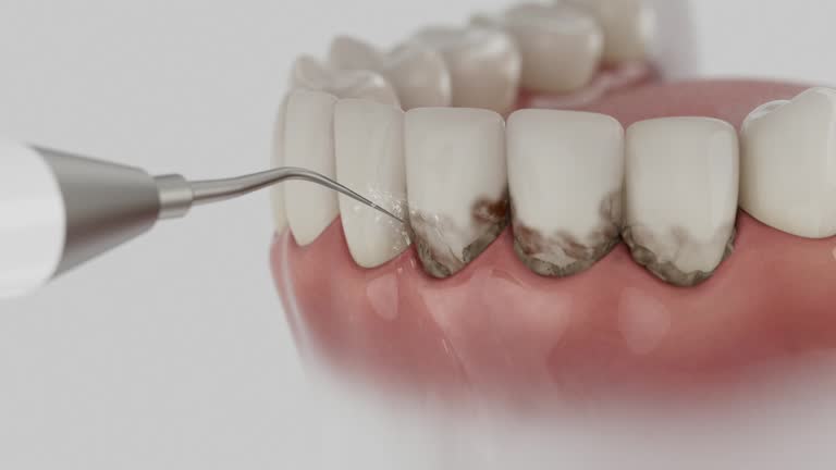 Reliable Dental contractor in North Liberty, IA by Dentist Open Now